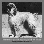 Thumbnail of Achmed Sjach van de Oranje Manege