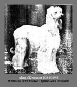 Thumbnail of Adana Of Khorrassan