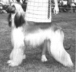 Thumbnail of Adrienne Of Shirkden