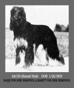 Thumbnail of Ahmad Shah