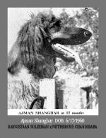 Thumbnail of Ajman Shanghar