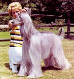 Thumbnail of Akaba's Blue Banner