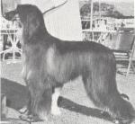 Thumbnail of Akaba's Daphne Lin