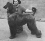 Thumbnail of Akaba's Royal Blue