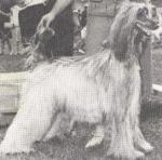 Thumbnail of Akaba's Speak Of The Devil