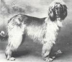 Thumbnail of Alfreda (UK)