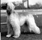 Thumbnail of Asoka von Katwiga