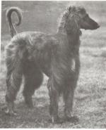 Thumbnail of Badshah Of Ainsdart