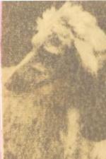 Thumbnail of Barukhzy's Kalindi