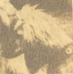 Thumbnail of Barukhzy's Kausalya