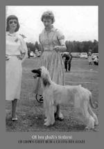 Thumbnail of Ben Ghazi's Sirdarni