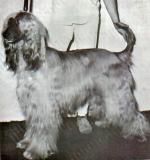 Thumbnail of Bhakkar's Dudel