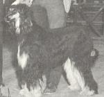 Thumbnail of Black Ryn Of Donde