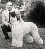 Thumbnail of Bletchingley Sahari Of Scheherezade