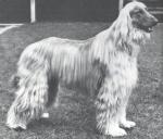 Thumbnail of Bletchingley Sarhang