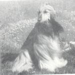 Thumbnail of Bondor Cinnamon