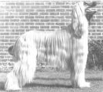 Thumbnail of Bondor Dera Ghazi Khan