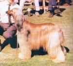 Thumbnail of Bondor Lezah