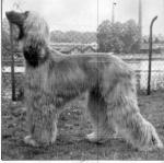 Thumbnail of Cashila Von Katwiga