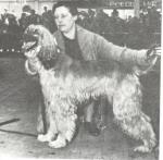 Thumbnail of Ceres van de Oranje Manege