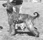 Thumbnail of Coastwind Nepenthe