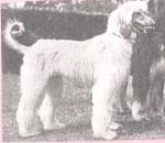 Thumbnail of Conygar Aurelia