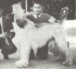 Thumbnail of Crown Crest Great Mogul