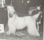 Thumbnail of Crown Crest Mr Vanguard