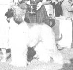 Thumbnail of Crown Crest Zarjonx