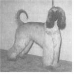 Thumbnail of Crown Crest Zarzanya