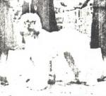 Thumbnail of Zulieka Of Elcoza