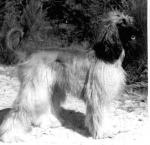 Thumbnail of Duta von Katwiga