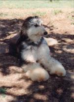 Thumbnail of East Of Eden De Tchekana