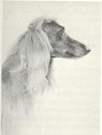 Thumbnail of Tufan Of Ainsdart