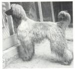 Thumbnail of Eschghi's Assur