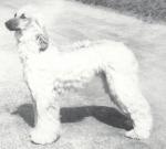 Thumbnail of Zardin Of Khorrassan