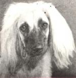 Thumbnail of Fatima Of Closmidi