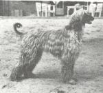 Thumbnail of Fee van de Oranje Manege