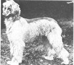 Thumbnail of Garrymhor Souriya