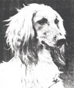 Thumbnail of Zandi Of Enriallic