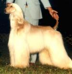 Thumbnail of Yucatan's Lord West