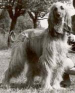 Thumbnail of Yuana von der Irminsul