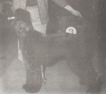 Thumbnail of Hajji Baba Of Grandeur