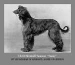 Thumbnail of Westmill Tamasar