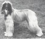 Thumbnail of Watsatari Of Carloway