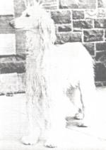 Thumbnail of Wanawallari Of Geufron