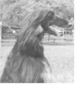 Thumbnail of Holly Hill Indus