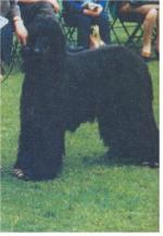 Thumbnail of Horningsea Mustagh Ata