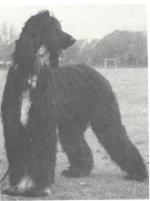 Thumbnail of Horningsea Sagittarius