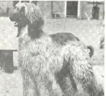 Thumbnail of Ineke van de Oranje Manege